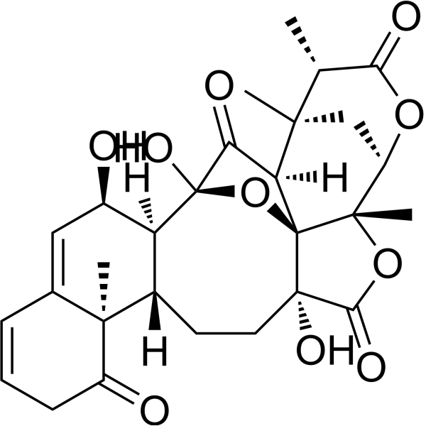 Physalin L (Physalin L) 113146-74-0